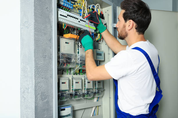 Best Electric Panel Repair  in Monroe, IA